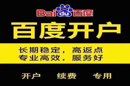SEM投放策略：成功案例解析